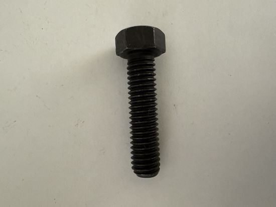 Picture of Bolt