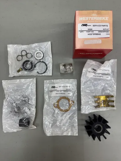 Picture of KIT,WATER PUMP 38445,11353