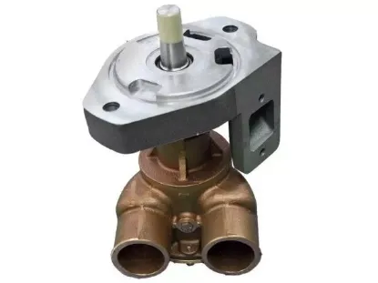Picture of Water Pump