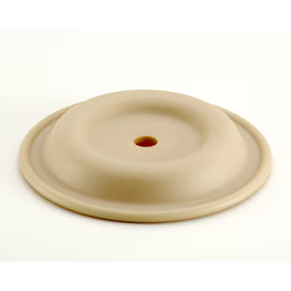 Picture of Diaphragm