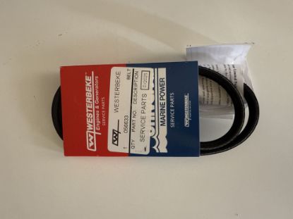 Picture of BELT - POLY-V 3GR 31.50