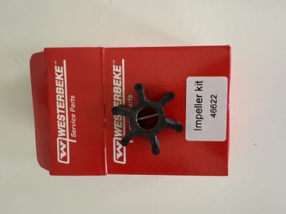 Picture of IMPELLER KIT 46120 PUMP