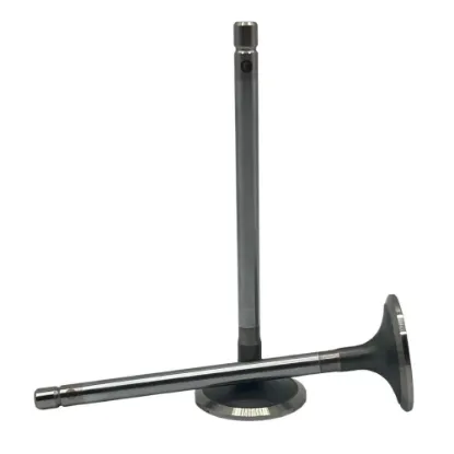 Picture of VALVE, INTAKE