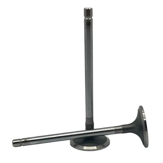 Picture of VALVE, INTAKE