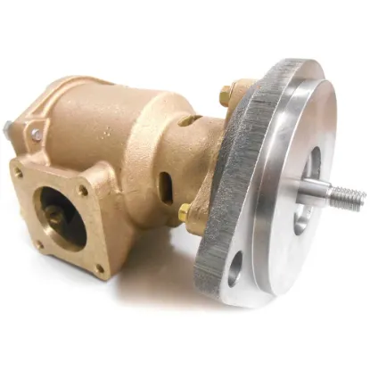 Picture of PUMP GP-AUXILIARY SEA WATER