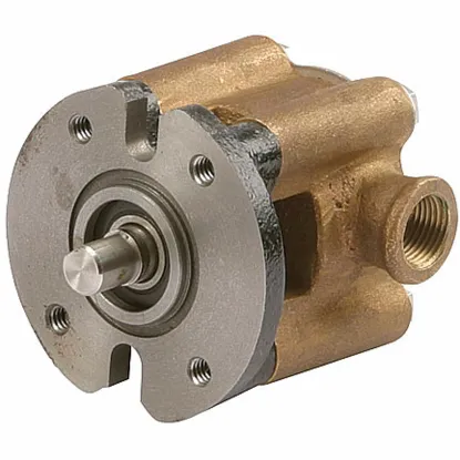 Picture of Pump, sea water