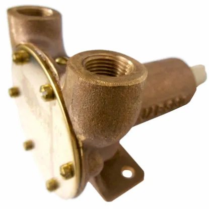 Picture of Sea Water Pump