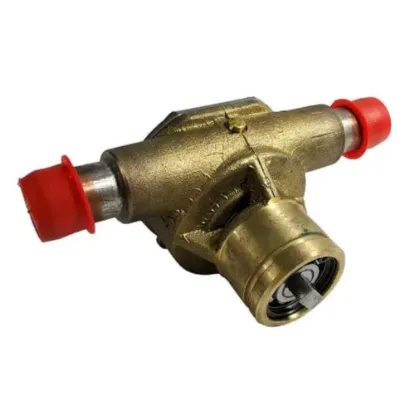 Picture of Raw Water Pump