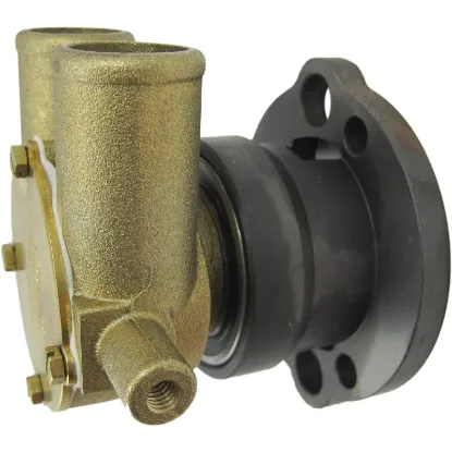 Picture of Raw Water Pump