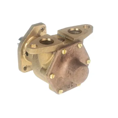 Picture of Raw Water Pump