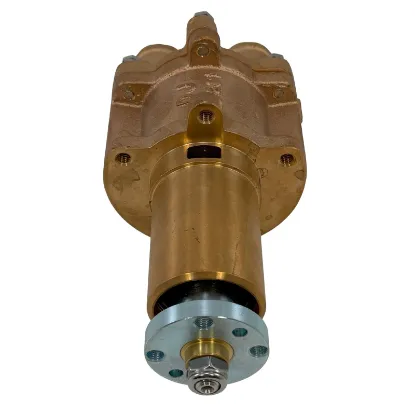 Picture of Sea Water Pump