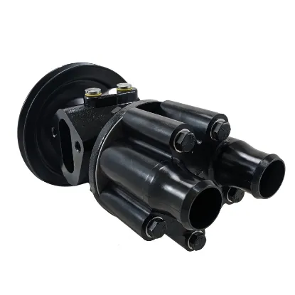 Picture of Sea Water Pump With V-Belt Pulley