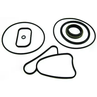 Picture of SEAL KIT
