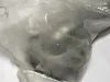 Picture of PIPE