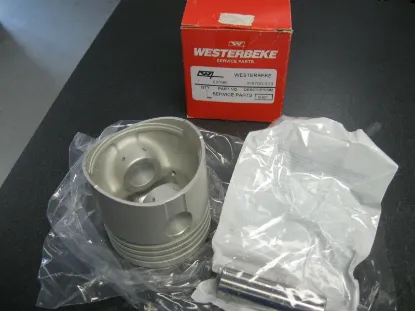 Picture of PISTON 0.50