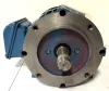 Picture of 2 HP NEMA Premium Severe Duty Motor 230/460 V AC 3475 RPM