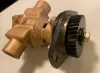 Picture of Sea Water Pump