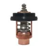 Picture of THERMOSTAT