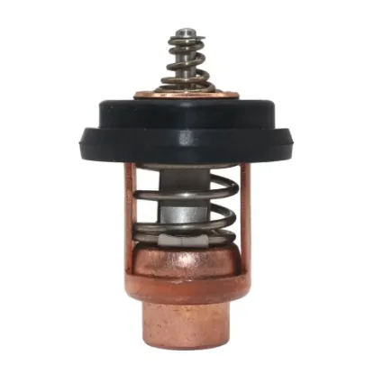 Picture of THERMOSTAT