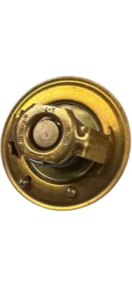 Picture of Thermostat