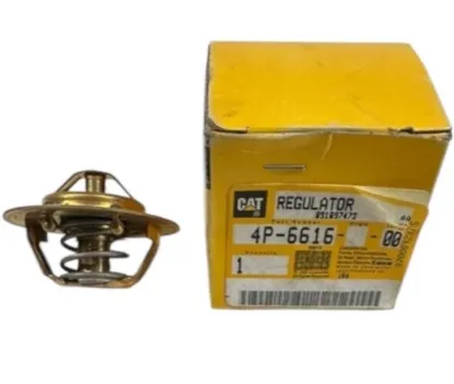 Picture of Thermostat