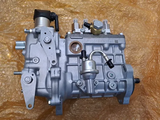 Picture of FUEL INJECTION PUMP