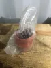 Picture of HOSE