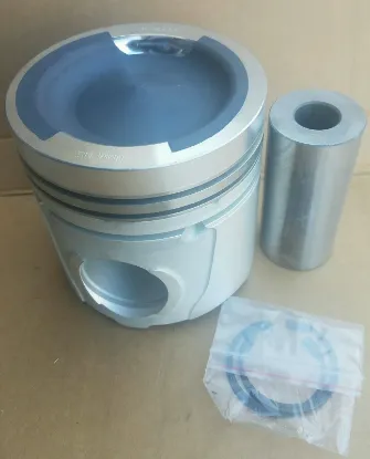 Picture of Piston Kit