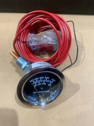 Picture of A25TE-250-20-1/2 Temperature Swichgage®