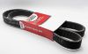 Picture of V-BELT