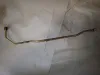 Picture of Tube AS