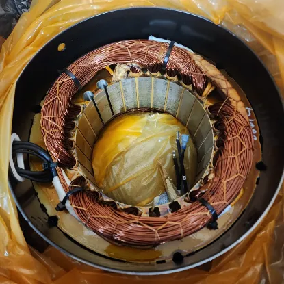 Picture of Stator, Assembly