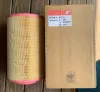 Picture of AIR FILTER