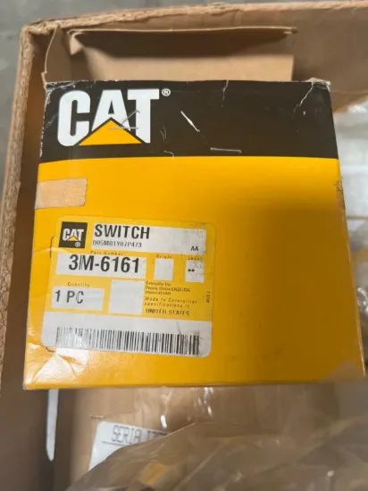 Picture of Master Light Switch