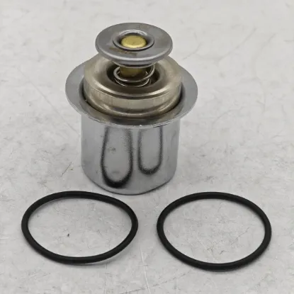 Picture of THERMOSTAT