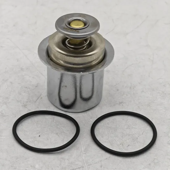 Picture of THERMOSTAT