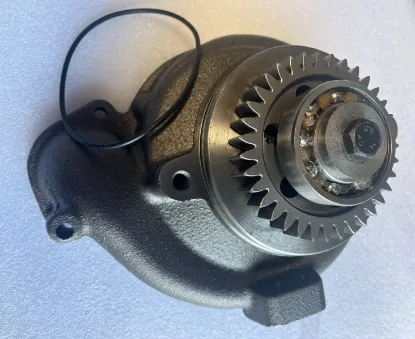 Picture of PUMP GP-WATER