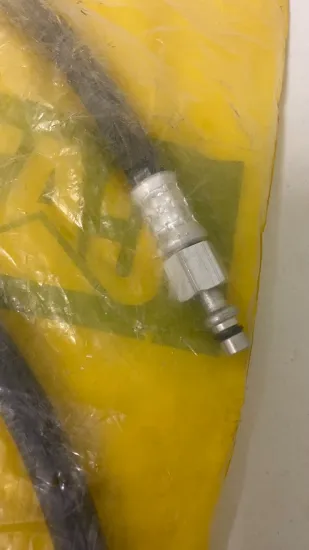 Picture of HOSE AS