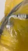 Picture of HOSE AS