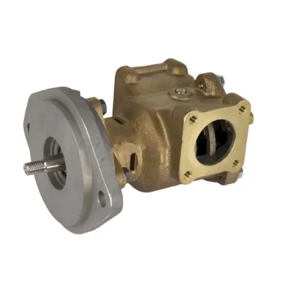 Picture of PUMP GP-AUXILIARY SEA WATER