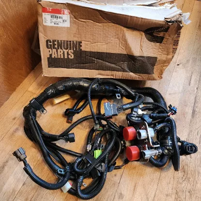 Picture of ECM Wiring Harness