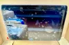 Picture of DISPLAY GP