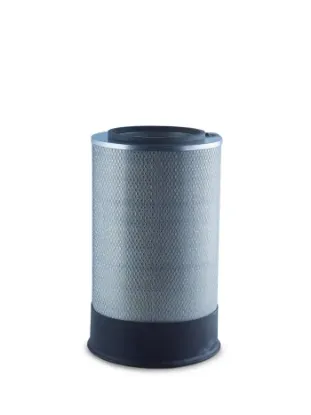 Picture of Primary Air Filter