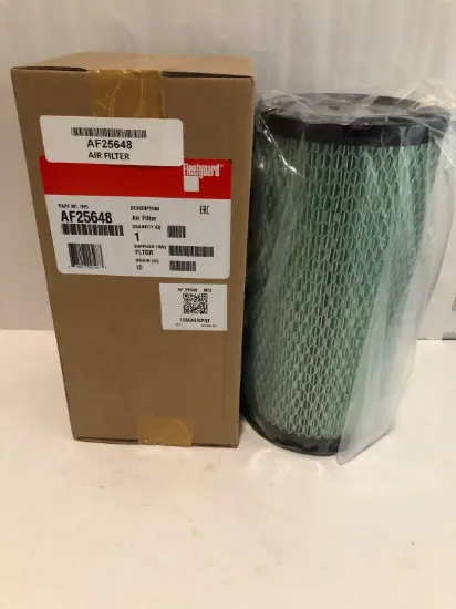 Picture of AIR FILTER