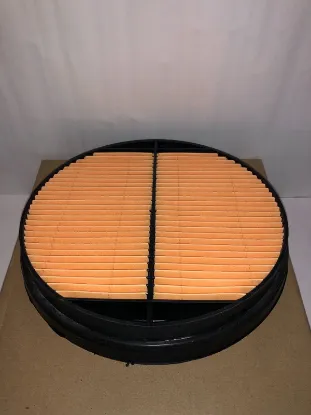 Picture of Air Filter