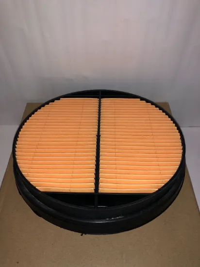 Picture of Air Filter