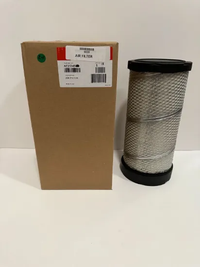 Picture of AIR FILTER