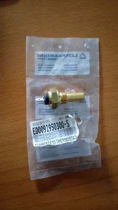 Picture of THERMOSTAT