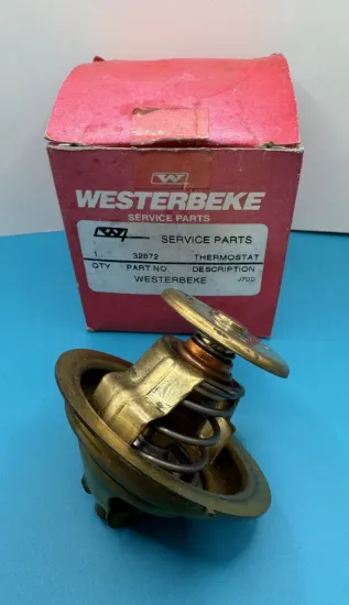 Picture of THERMOSTAT