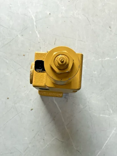 Picture of Solenoid and Pressure Relief Valve